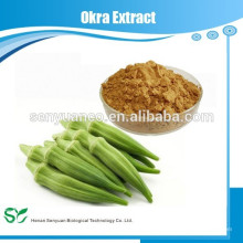 China Großhandel Qualität Okra Extrakt, Bulk Okra Extrakt Pulver